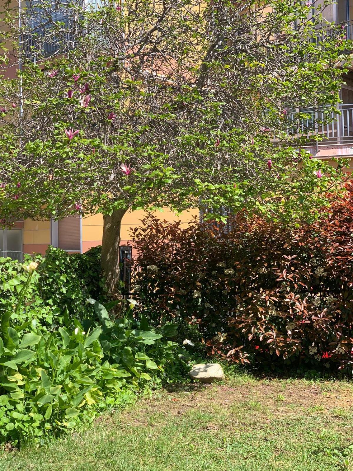 B&B La Magnolia Savona Exterior photo